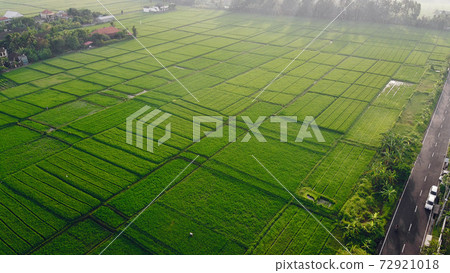 Fields in Bali are photographed from a drone Fields in Bali are photographed from a drone 72921018