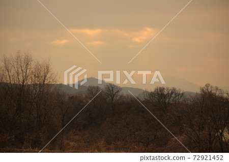 Birds, birds, sky, flight, sunset 72921452