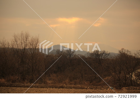 Cheorwon-gun, migratory birds, red-crowned cranes, birds 72921999