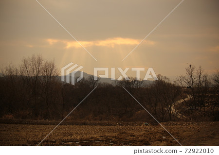 Cheorwon-gun, migratory birds, red-crowned cranes, birds 72922010