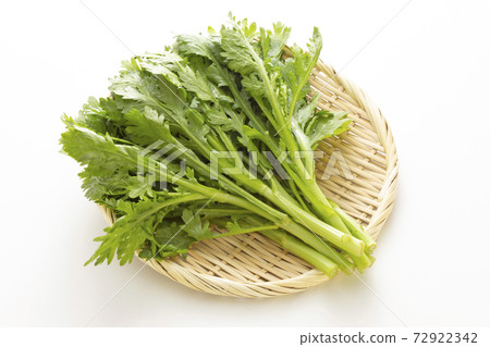盆栽春菊蔬菜 72922342