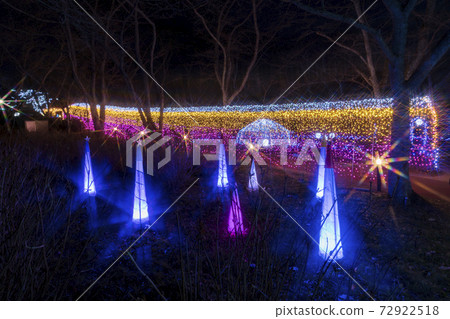 鎌倉幻想公園2020年船岡城堡遺址公園的照明 鎌倉幻想公園2020年船岡城堡遺址公園的照明 72922518