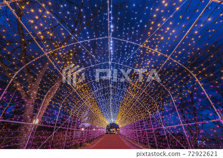 Illuminations of Funaoka Castle Ruins Park Shibata Fantasy Illumination 2020 Illuminations of Funaoka Castle Ruins Park Shibata Fantasy Illumination 2020 72922621