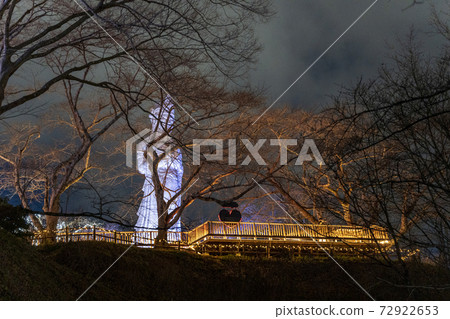 鎌倉幻想公園2020年船岡城堡遺址公園的照明 鎌倉幻想公園2020年船岡城堡遺址公園的照明 72922653