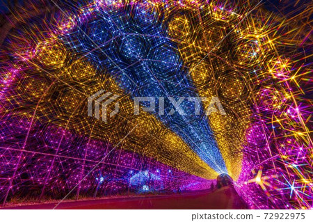 Illuminations of Funaoka Castle Ruins Park Shibata Fantasy Illumination 2020 Illuminations of Funaoka Castle Ruins Park Shibata Fantasy Illumination 2020 72922975