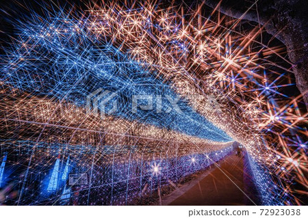 Illuminations of Funaoka Castle Ruins Park Shibata Fantasy Illumination 2020 Illuminations of Funaoka Castle Ruins Park Shibata Fantasy Illumination 2020 72923038