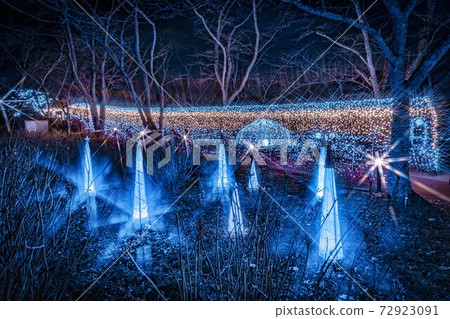 Illuminations of Funaoka Castle Ruins Park Shibata Fantasy Illumination 2020 Illuminations of Funaoka Castle Ruins Park Shibata Fantasy Illumination 2020 72923091