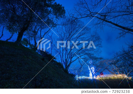 Illuminations of Funaoka Castle Ruins Park Shibata Fantasy Illumination 2020 Illuminations of Funaoka Castle Ruins Park Shibata Fantasy Illumination 2020 72923238