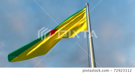 3d rendering of the national flag of the French Guiana 72923312