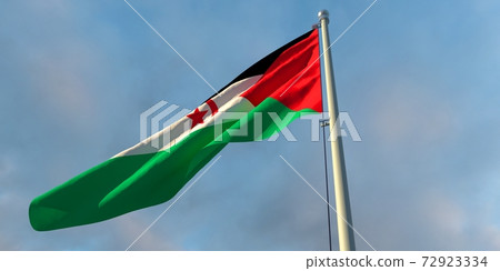 3d rendering of the national flag of the Sahrawi Arab 72923334