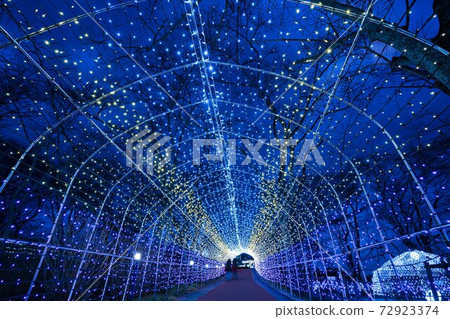Illuminations of Funaoka Castle Ruins Park Shibata Fantasy Illumination 2020 72923374