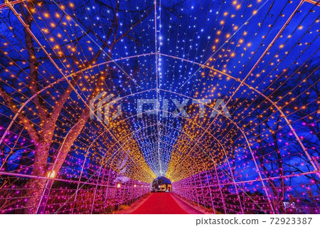 Illuminations of Funaoka Castle Ruins Park Shibata Fantasy Illumination 2020 Illuminations of Funaoka Castle Ruins Park Shibata Fantasy Illumination 2020 72923387