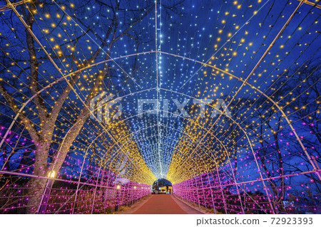 Illuminations of Funaoka Castle Ruins Park Shibata Fantasy Illumination 2020 72923393