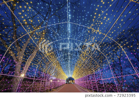 Illuminations of Funaoka Castle Ruins Park Shibata Fantasy Illumination 2020 72923395