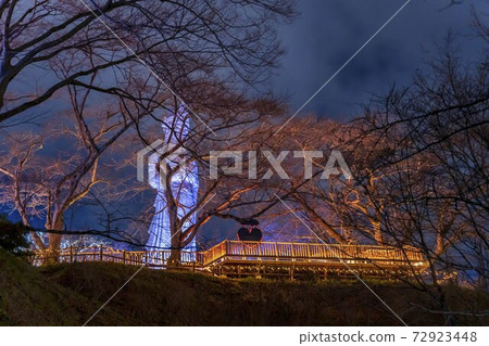 Illuminations of Funaoka Castle Ruins Park Shibata Fantasy Illumination 2020 Illuminations of Funaoka Castle Ruins Park Shibata Fantasy Illumination 2020 72923448