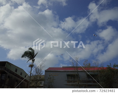 Lantern_Jujo_台灣 72923481