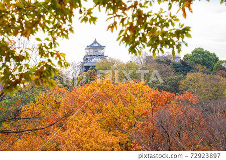 濱松城公園的秋天 72923897