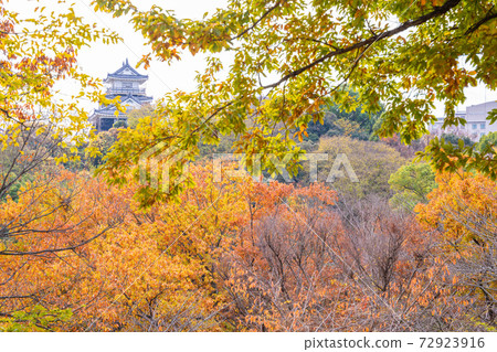 濱松城公園的秋天 濱松城公園的秋天 72923916