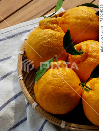 Fresh organic fruit Jeju Hallabong in a basket Fresh organic fruit Jeju Hallabong in a basket 72924036