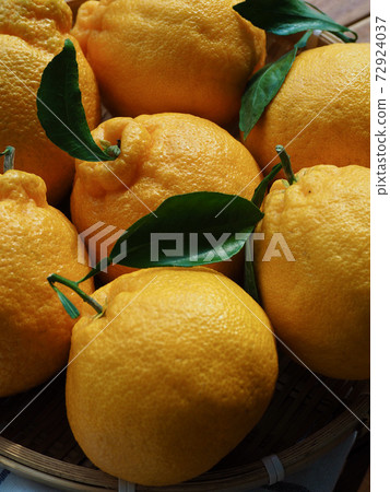 Fresh organic fruit Jeju Hallabong in a basket Fresh organic fruit Jeju Hallabong in a basket 72924037