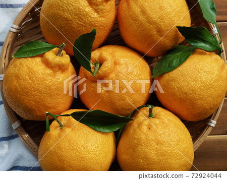 濟州 Hallabong,籃子裡的新鮮有機水果 濟州 Hallabong,籃子裡的新鮮有機水果 72924044