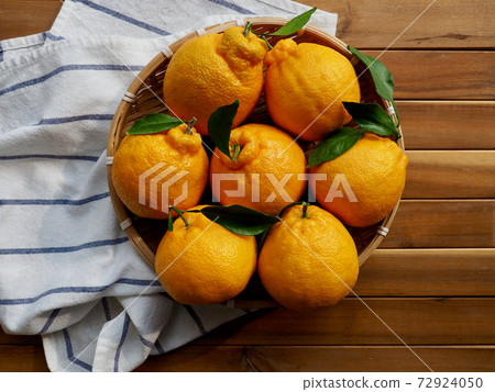 Fresh organic fruit Jeju Hallabong in a basket 72924050