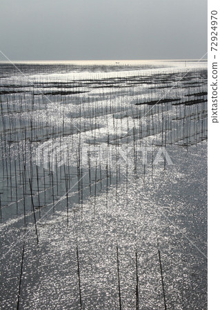 Nori cultivation scenery in the Ariake Sea (light path) 72924970