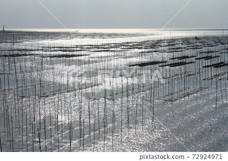 有明海的海藻栽培風景(光路) 有明海的海藻栽培風景(光路) 72924971