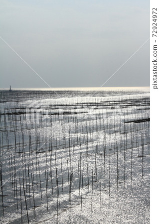 有明海的海藻栽培風景（光路） 72924972