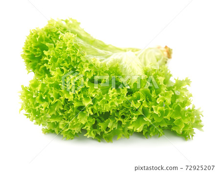 Lettuce salad on white backgrounds Lettuce salad on white backgrounds 72925207