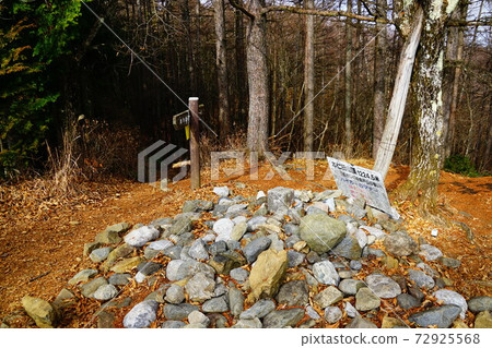 奧多摩，富士山的頂峰 72925568