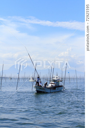 有明海紫菜栽培工作風景，紫菜裂縫（桿立） 72925595