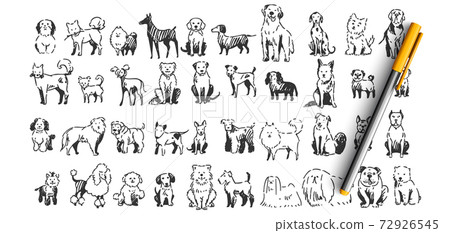 Dogs doodle set Dogs doodle set 72926545