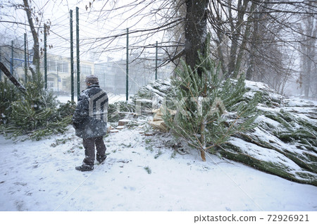 Christmas trees seller standing among piled pines at the outdoor stall 72926921