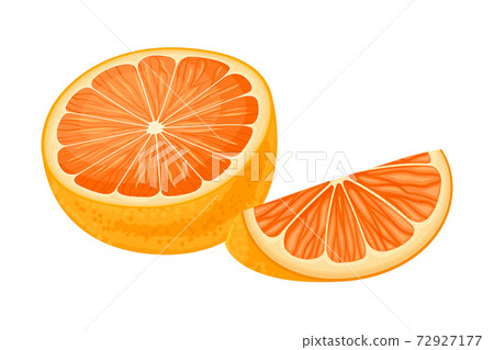 Halved Orange Showing Juicy Flesh Segments Vector Illustration 72927177