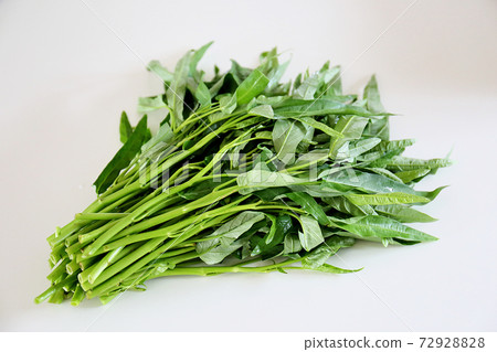 Ensai (Okinawa dialect: Unche) 72928828