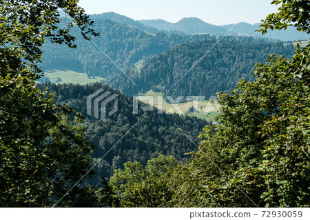 Panoramic view of idyllic mountain scenery in the Alps with fresh green meadows in summerday, Switzerland 72930059