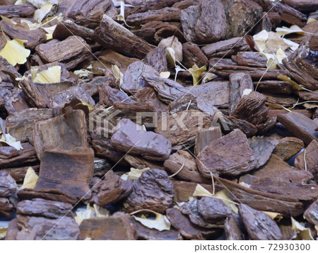 從秋天到冬天自然枯葉的地面背景 72930300