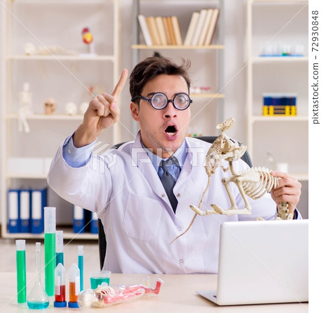 Funny scientist with cat skeleton in lab clinic 72930848