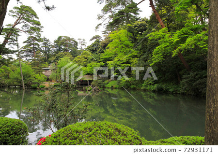 Kenrokuen Fresh Green Gourd Pond Kenrokuen Fresh Green Gourd Pond 72931171