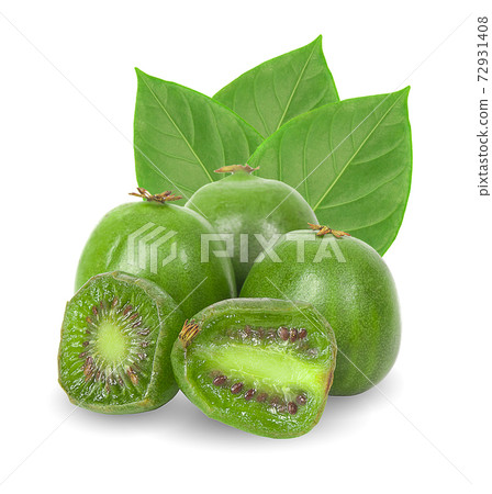 mini kiwiberry isolated on white background mini kiwiberry isolated on white background 72931408