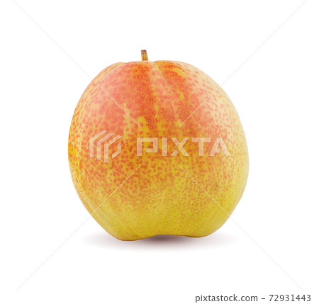 pears an isolated on a white background pears an isolated on a white background 72931443