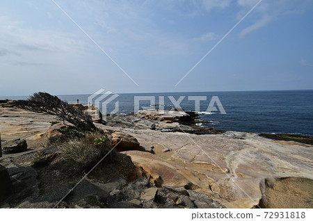 從Senjojiki 從Senjojiki 72931818