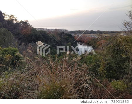 與池塘的風景 72931883