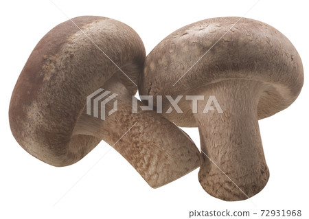Fresh Shiitake mushrooms (Lentinula edodes) isolated 72931968