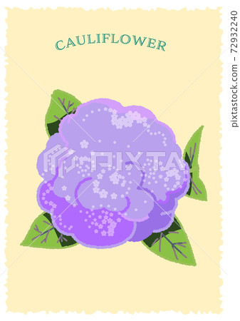 從上面直接看到厚厚的鉀鹽花的插圖 72932240