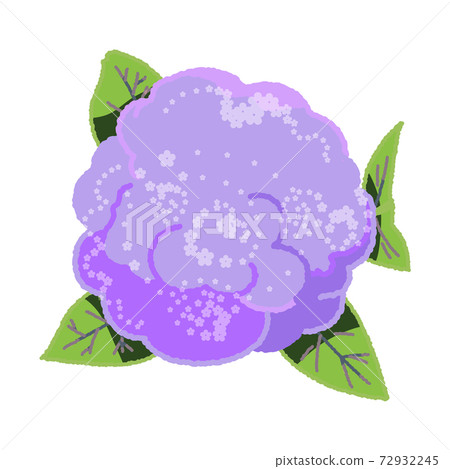 從上面直接看到厚厚的鉀鹽花的插圖 72932245