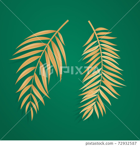 Abstract Realistic Golden Palm Leaf Tropical Background. Vector illustration. EPS10 72932587