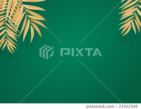 Abstract Realistic Golden Palm Leaf Tropical Background. Vector illustration. EPS10 Abstract Realistic Golden Palm Leaf Tropical Background. Vector illustration. EPS10 72932588