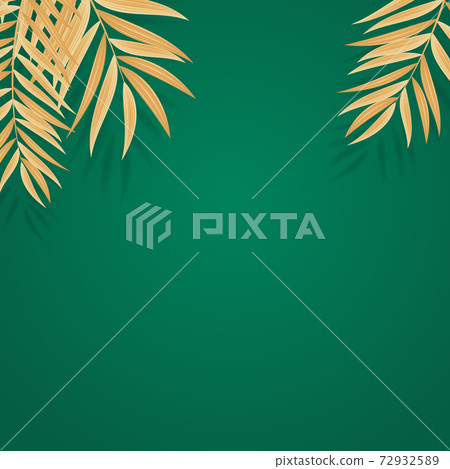 Abstract Realistic Golden Palm Leaf Tropical Background. Vector illustration. EPS10 Abstract Realistic Golden Palm Leaf Tropical Background. Vector illustration. EPS10 72932589